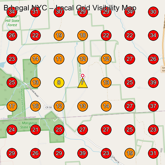 B Legal NYC GeoGrid visibility map for Legal Services in None
